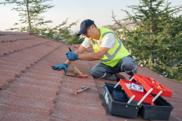 Best Roof Gutter Cleaning  in Sumner, WA