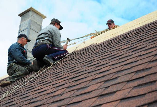 Quick and Trustworthy Emergency Roof Repair Services in Sumner, WA